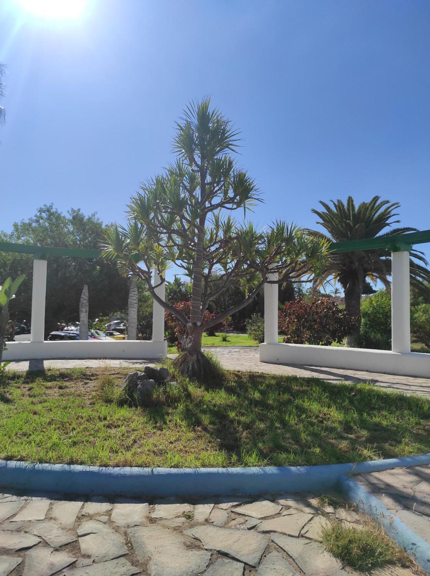 Maria Luxury Apartament Golf Del Sur Tenerife San Miguel de Abona Eksteriør bilde